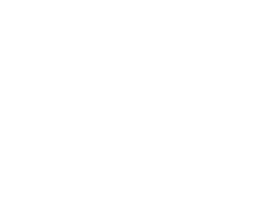 insalatone